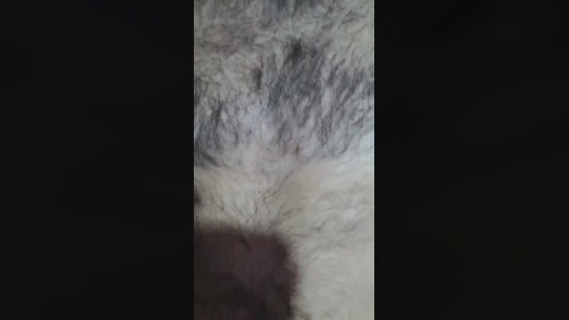 jeunemale5_sexy  03-09-2022
